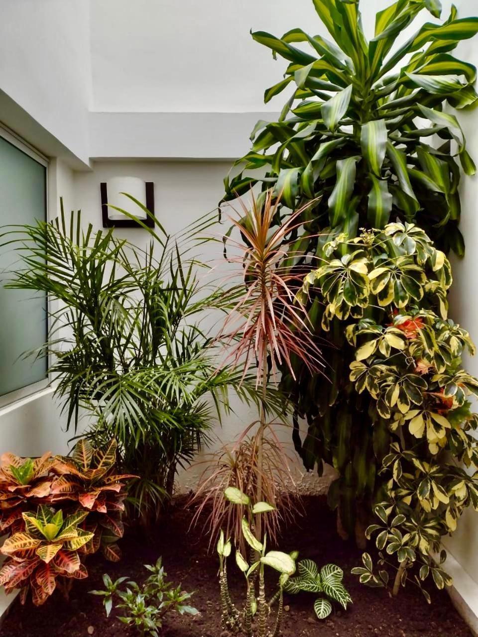Hotel Jardin 38 Pasto Exterior foto