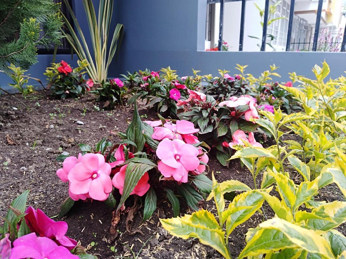 Hotel Jardin 38 Pasto Cameră foto